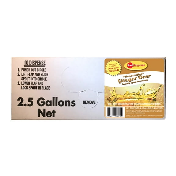 Classic Pure Cane Ginger Beer Fountain Syrup Concentrate (2.5 Gal. Bag-n-Box)