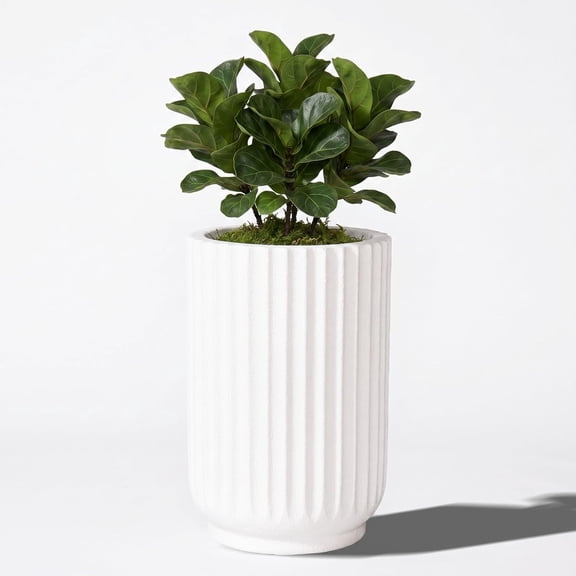 Classic Roman Column Style Planter | 20" Tall | Black & White Options | Ideal for Entrance & Living Room Corner | Durable Fiberglass Composite