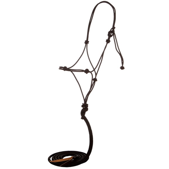Classic Rope Company Premium Rope Halter and 9 Premium Lead Rope