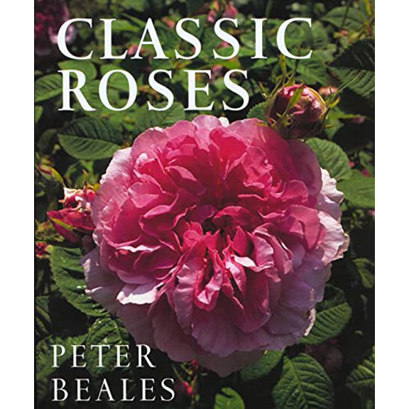 Pre-Owned Classic Roses: The Revised and Expanded Edition (Hardcover) 0805055843 9780805055849