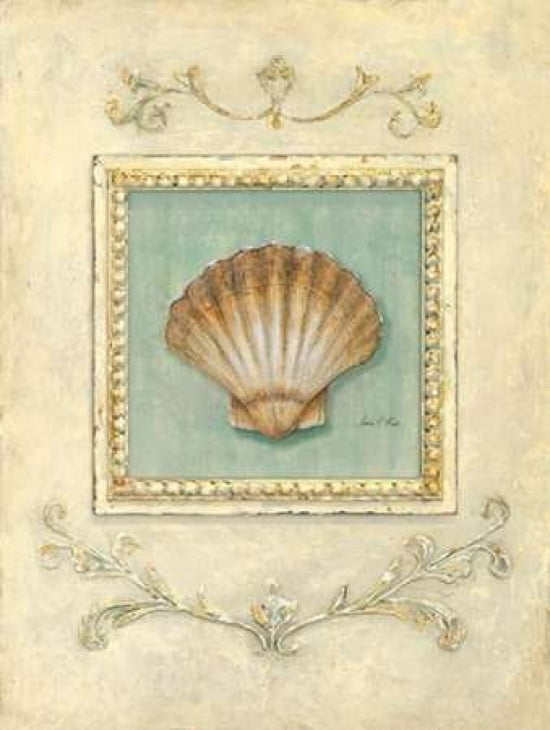 Classic Scallop Canvas Art - Arnie Fisk (22 x 28)