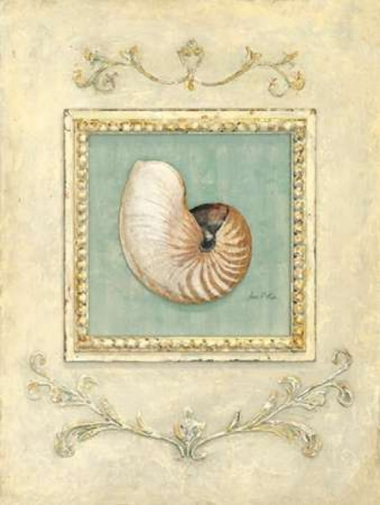 Classic Seashell Detail Canvas Art - Arnie Fisk (22 x 28)