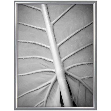 Classic Silverplated Aluminum POSTER 18x24 frame by MCS - 18x24