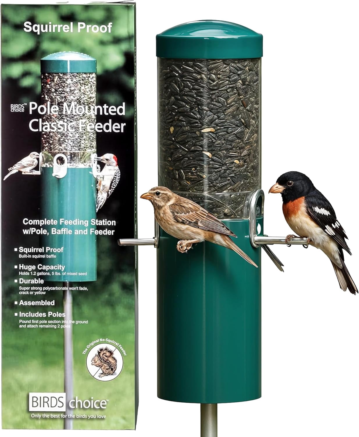 Classic Squirrel Proof Bird Feeder with Pole Mount | Tube Bird Feeder for Cardinals, Chickadees, Woodpeckers | Sturdy Steel for Long-Lasting Use | Backyard Bird Seed Dispenser