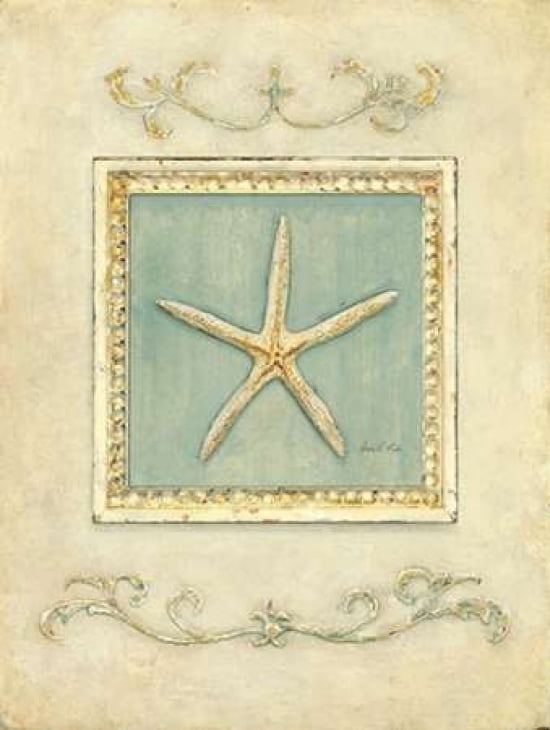 Classic Starfish Canvas Art - Arnie Fisk (22 x 28)