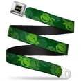 thumbnail image 1 of Classic Tmnt Logo Full Color Classic Tmnt Turtle Faces2 Greens Webbing Seatbelt Belt Standard, 1 of 9
