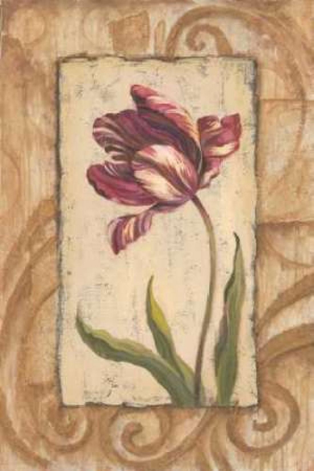 Classic Tulip II Canvas Art - Jillian Jeffrey (12 x 18)