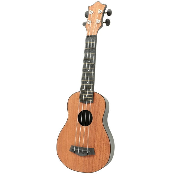 Acoustic Ukulele for Beginners and Professionals - Musical Guitar Instrument