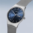 thumbnail image 1 of Classic | brushed silver |, 1 of 1
