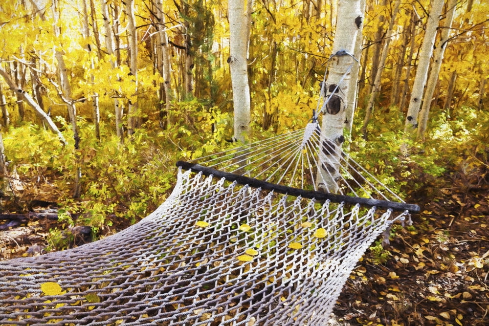 Classic hammock invites visitors to relax among aspen trees in bright autumn colors near Bishop California United States of America Canvas Art - Marion Owen  Design Pics (38 x 24)