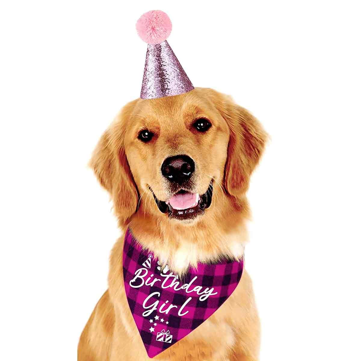 Classic plaid pet puppy bib with dog birthday party hat