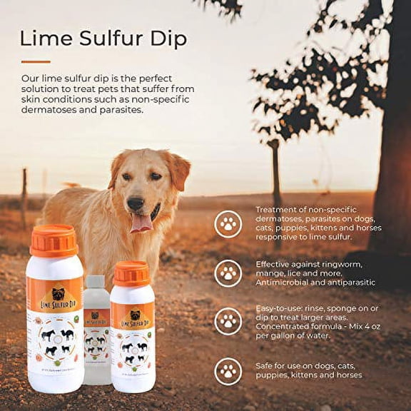 Classic's Lime Sulfur Dip (8 oz) - Pet Care for Itch and Dry Skin Extra Strength Formula Safe for Dog, Cat, Puppy, Kitten, Horse