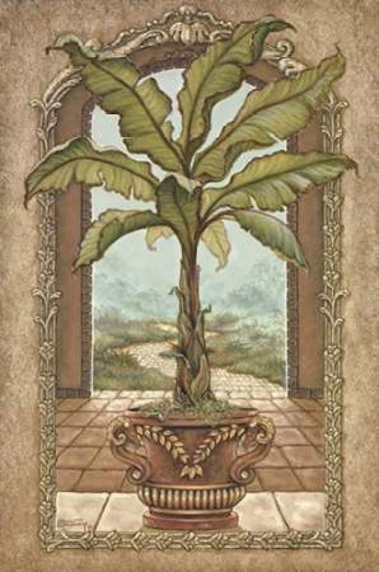 Classical Banana Tree Canvas Art - Janet Kruskamp (12 x 18)