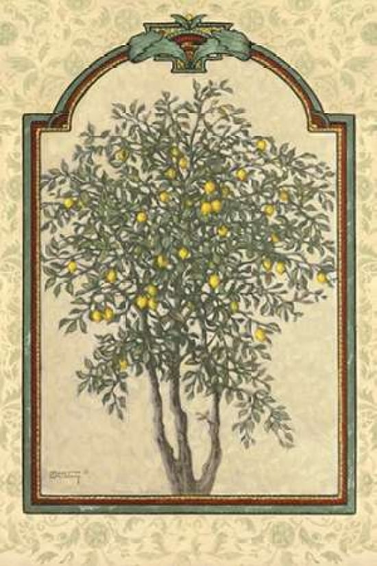 Classical Lemon Canvas Art - Janet Kruskamp (12 x 18)