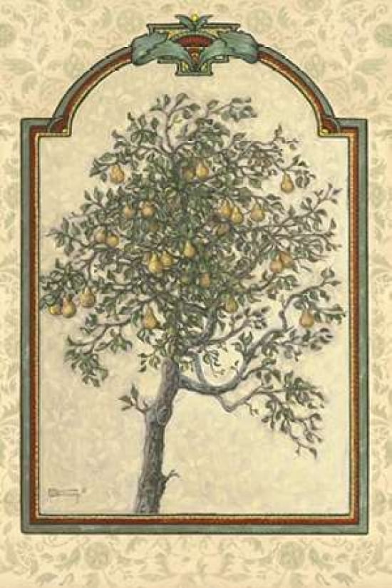 Classical Pear Canvas Art - Janet Kruskamp (12 x 18)