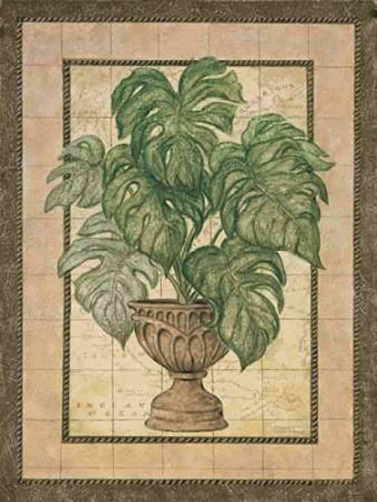 Classical Siam Canvas Art - Janet Kruskamp (22 x 28)
