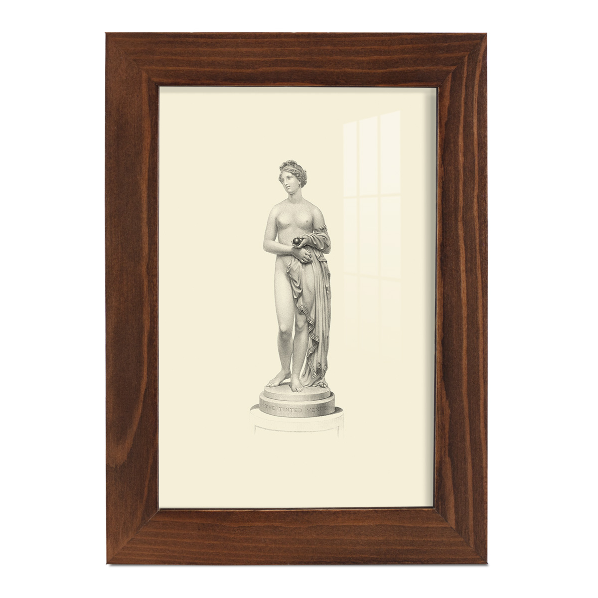 Classical Statuary I -Framed Print w/glass-Chestnut