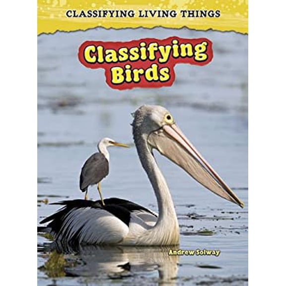 Pre-Owned Classifying Birds (Paperback) 1432923633 9781432923631