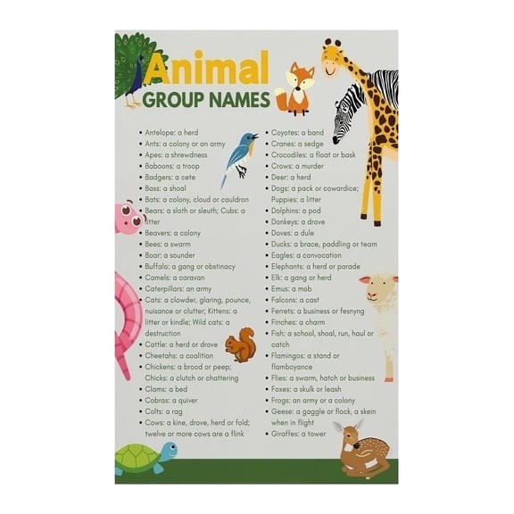 Classroom Library Study Room Decor Animal Group Names and Collective Nouns Poster Educational Wall Art Chart