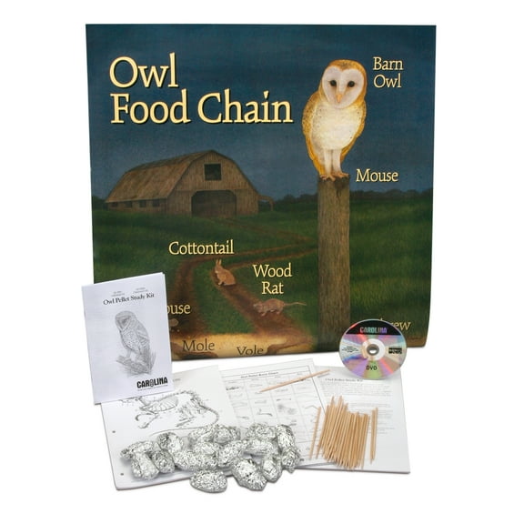 Classroom Owl Pellet Study Set, Includes Poster And Dvd