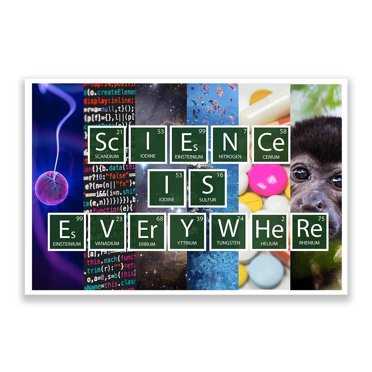 Carson Dellosa Scientific Method Mini Posters - Set Of 12 Educational Science Posters For Classroom Or Homeschool
