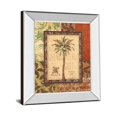 thumbnail image 1 of Classy Art 4854MF 22 x 26 in. Palmaceae II by Gregory Gorham Mirror Framed Print Wall Art, 1 of 1