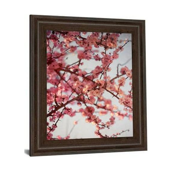 Classy Art 8055 22 x 26 in. Cherry Blossoms I by Susan Bryant Framed Print Wall Art