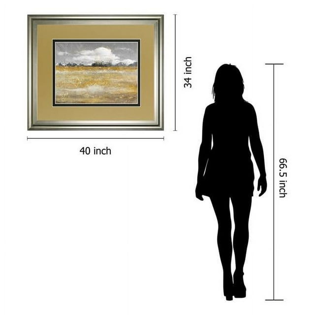 Classy Art DM5569 34 x 40 in. Meadow Shimmer II by Nan Framed Print Wall Art