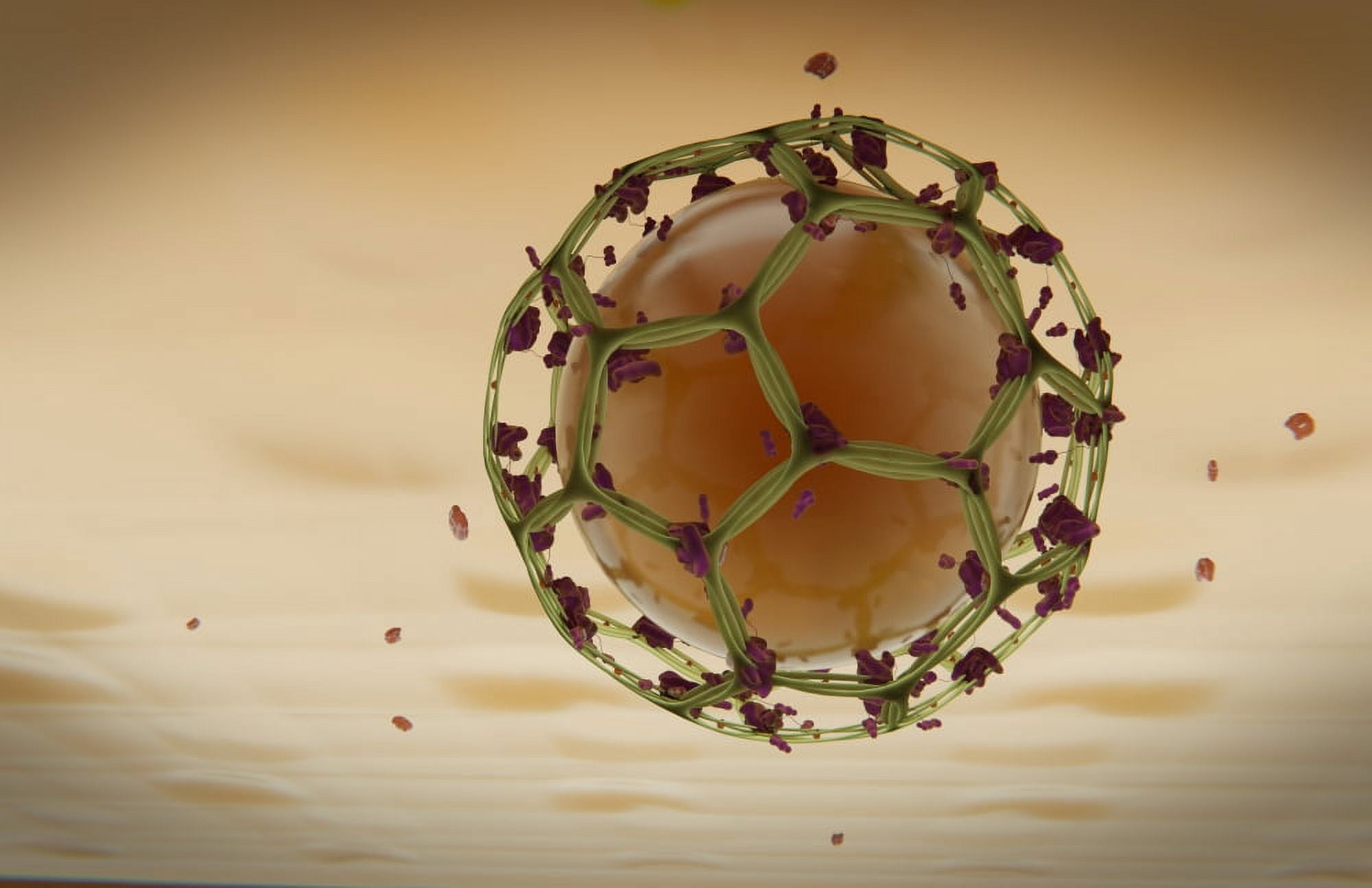 Clathrin Mediated Endocytosis Canvas Art - Stocktrek Images (35 x 23)