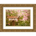 thumbnail image 1 of Clayton-Thompson, Philip 18x13 Gold Ornate Wood Framed with Double Matting Museum Art Print Titled - Bird House I, 1 of 4