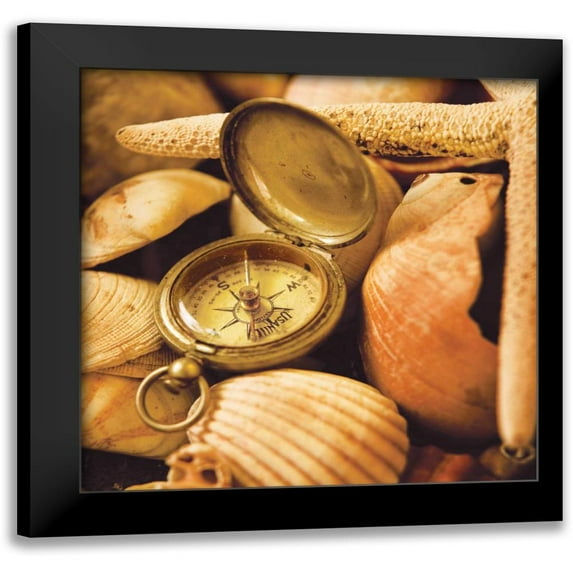 Clayton-Thompson, Philip 20x20 Black Modern Framed Museum Art Print Titled - Lost in Time II