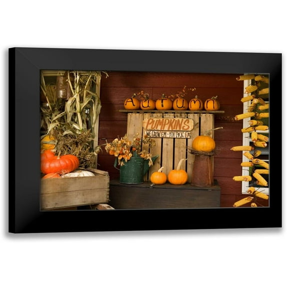 Clayton-Thompson, Philip 24x17 Black Modern Framed Museum Art Print Titled - Autumn Harvest III