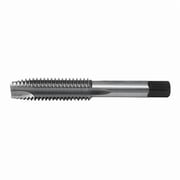 Spiral Point Tap Plug, 2 Flutes C62155