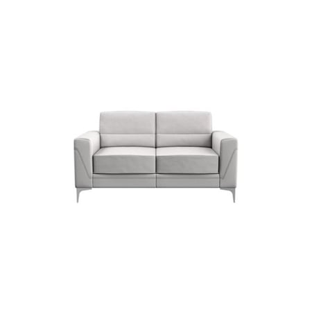 Clean Contemporary Design Loveseat, Light Grey