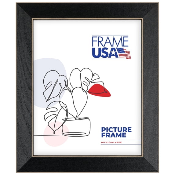 14x22 Picture Frame, Black Clean Cut Style 71206–003, 1.25 Inch Wood with Plexiglass, Wall Display