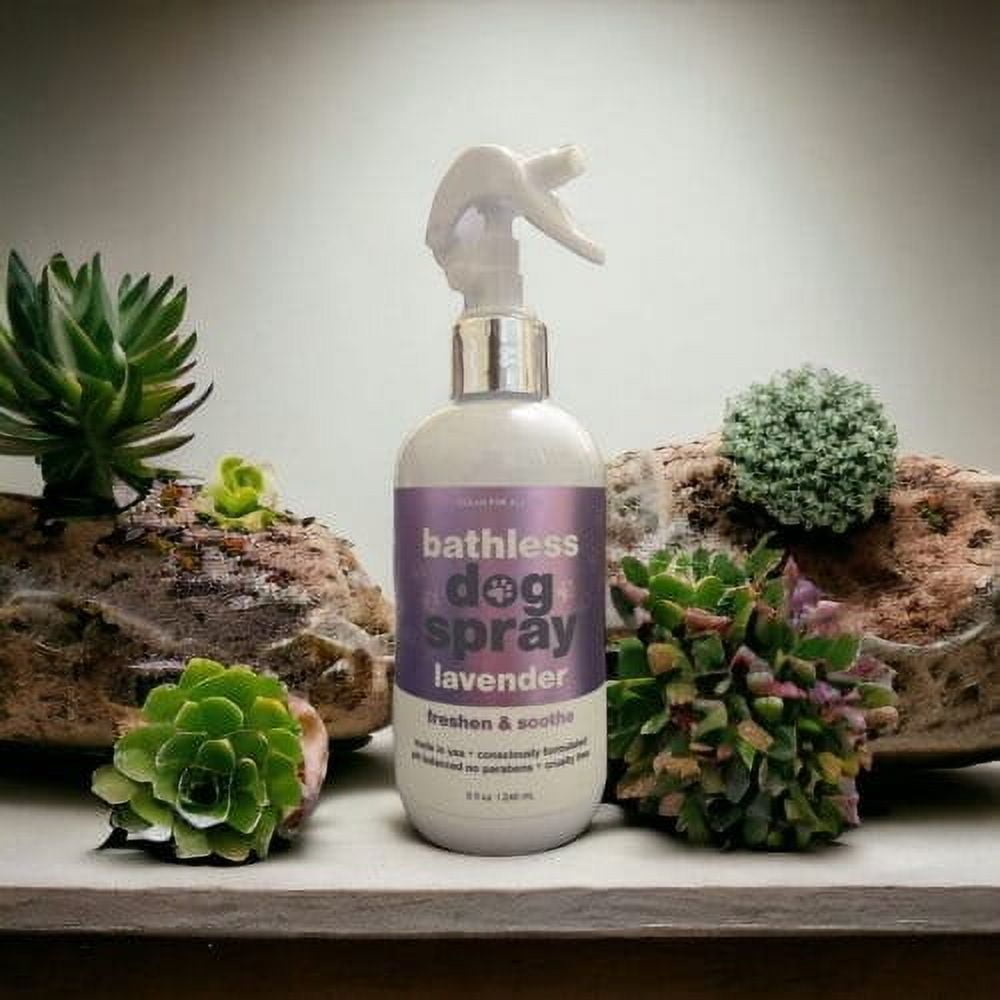 Clean For All Co Lavender Bathless Dog Spray W/ Hemp Oil pH Bal Freshen & Soothe 8oz