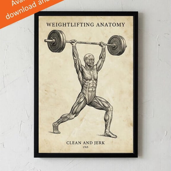 Clean and Jerk | Vintage Anatomy Gym Poster | Muscle Anatomy Wall Art | Crossfit | Home Gym Decor | Weightlifting Poster | Hyrox posters, Unframed Paper Poster 8x10in