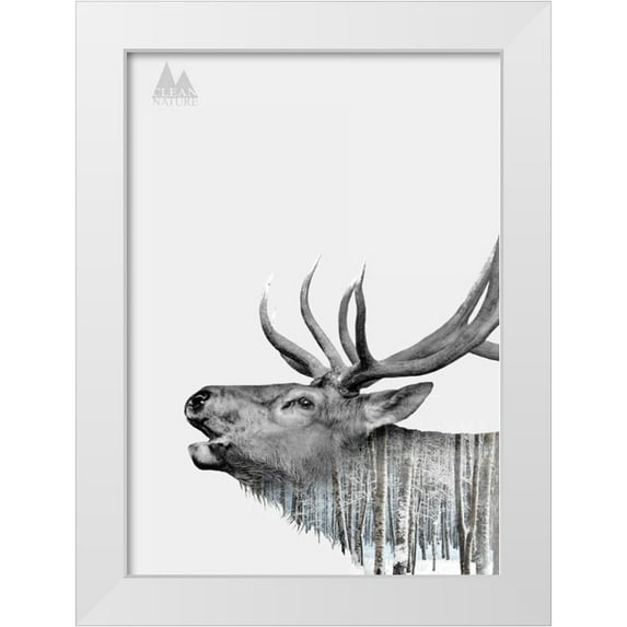 Clean Nature 14x18 White Modern Wood Framed Museum Art Print Titled - Deer