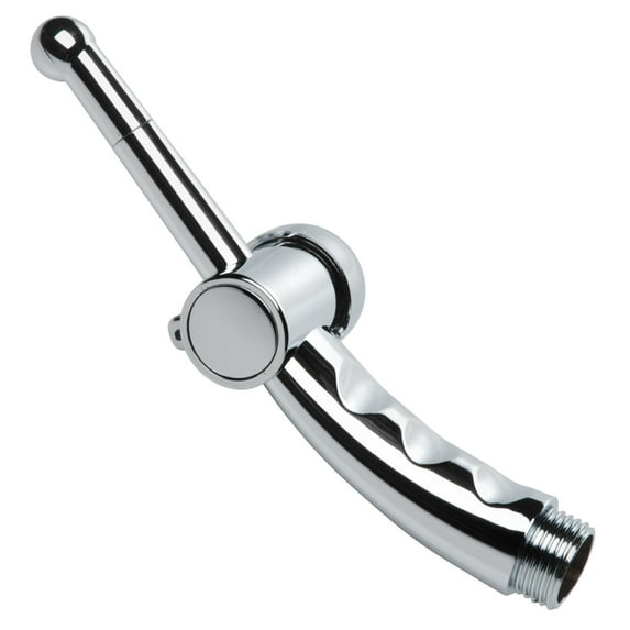 Clean Stream Cleansing Nozzle W/Regulatr