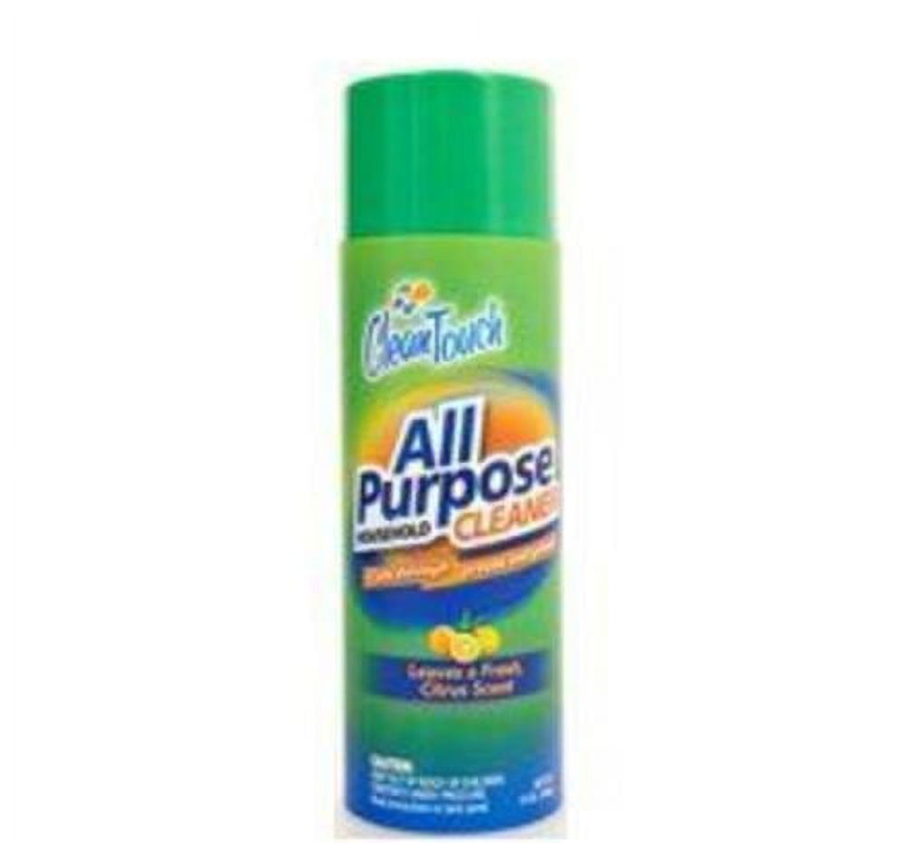 Clean Touch 9655 All Purpose Cleaner Spray, 13 Oz, Each - Walmart.com