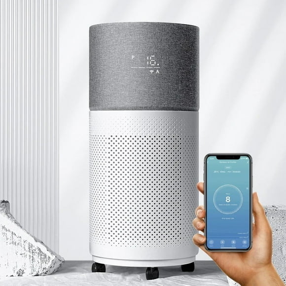 Dust Mite Air Purifier