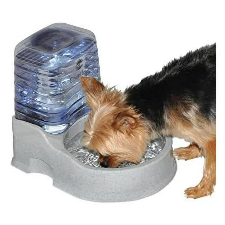 Fresh water dog bowl shop