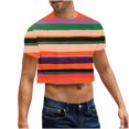 thumbnail image 1 of Cleaning Mens Cropped Tee Shirts Striped Trends T-Shirt Crew Neck Tees Short Sleeve Tops Ultra Soft Athletic Stretch T Shirts Trends Lightweight Blouses Workout Running Golf Clothes, 1 of 7