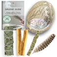 thumbnail image 1 of Cleansing Sage Smudge Kit | Eucalyptus Smudge Stick, Sweetgrass Braid, 2 Palo Santo Sticks, Abalone Shell, & Feather Smudging Kit for Meditation, Yoga, Reiki, Home Cleansing, 1 of 4