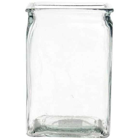 Clear 1 Vase