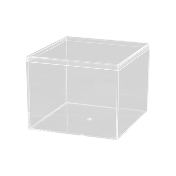 Clear Acrylic Display Box | Transparent Square Storage Box with Earth Cover for Candy, Handmade Crafts, Jewelry – 4x4x2 Inches