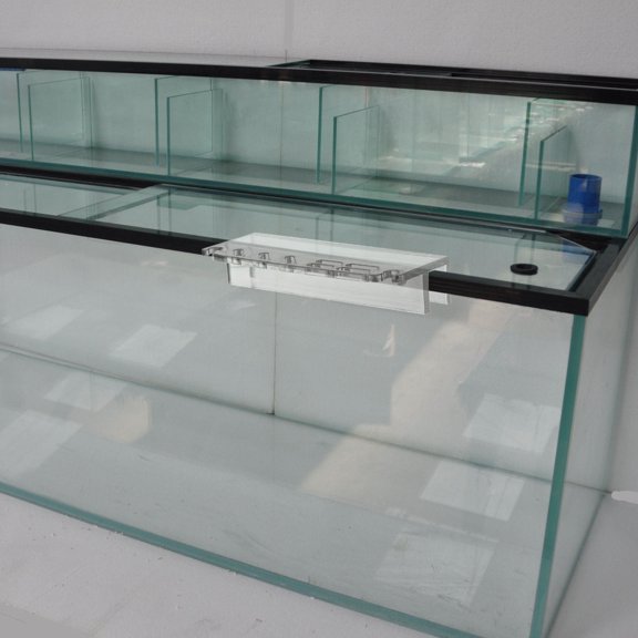 Clear Acrylic Fish Tank Tool Rack with Seven Slots for Water Grass and Maintenance Tools