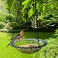 thumbnail image 1 of Clear Acrylic Outdoor Hanging Bird Feeder with Removable Tray - Dual-Use Food Water Container & Bird Bath for Garden Hummingbird, Easy-Fill & Weatherproof Decor for Patio/Yard, 1 of 1