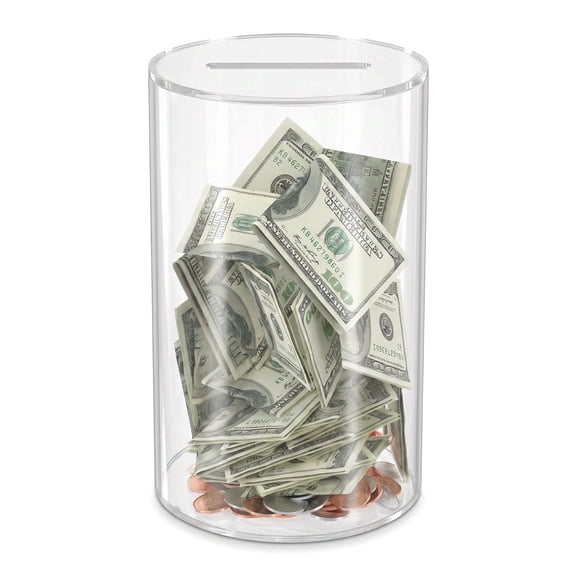 Clear Acrylic Piggy Bank for Adults Break-to-Open Money Saving Box with Visible Design, Unopenable Coin Jar, 6 Inch