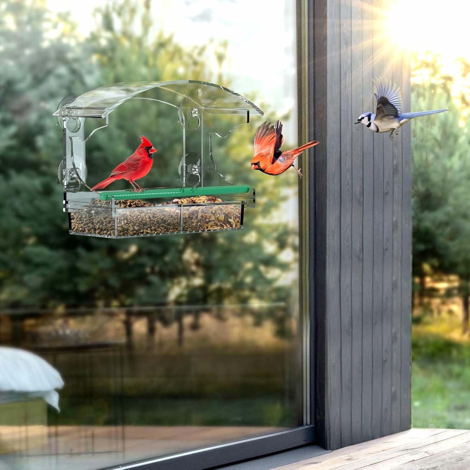 Clear Acrylic Window Bird Feeder for Outside with 4 Strong Suction Cups ...